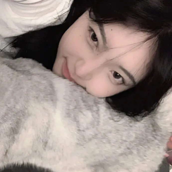 泰山传奇:森林争霸